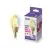 WiZ Smart LED E14 Bougie Filament Dorée 5W 370lm | Meilleur Rendu Des Couleurs - Dimmable - Équivalent 25W